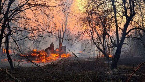 Лесной пожар в Чернобыльской зоне  - Sputnik Mundo