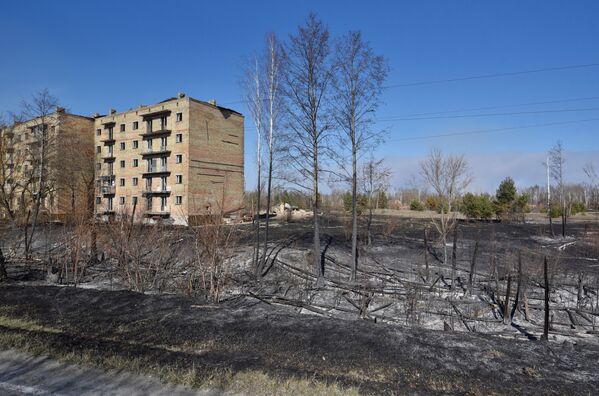 Последствия пожара в зоне отчуждения Чернобыльской АЭС - Sputnik Mundo