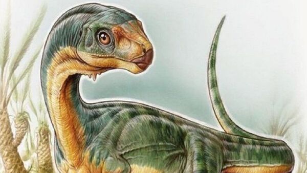 'Chilesaurus diegosuarezi' (Ilustración de Gabriel Lio) - Sputnik Mundo