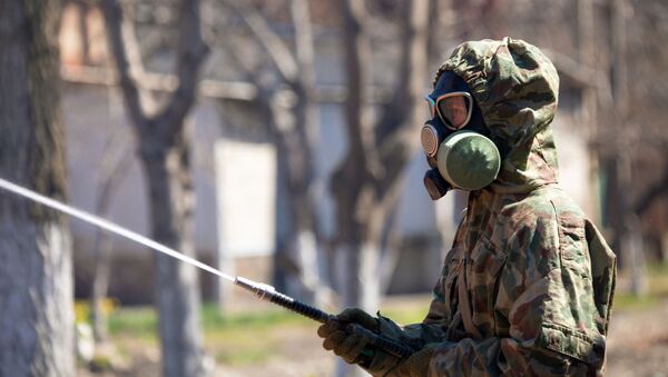 Un militar ruso lleva la desinfectación (imagen referencial) - Sputnik Mundo