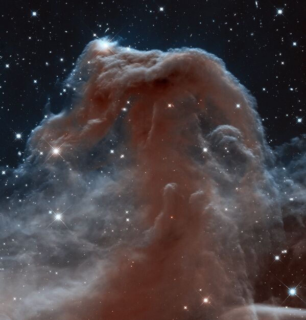 Nebulosa Cabeza de Caballo en luz infrarroja (2013) - Sputnik Mundo
