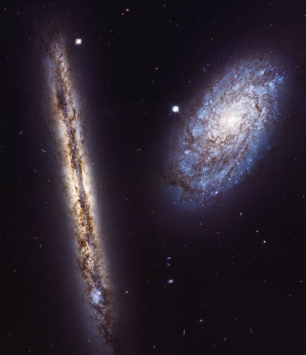 Galaxias NGC 4302 y NGC 4298 (2017) - Sputnik Mundo