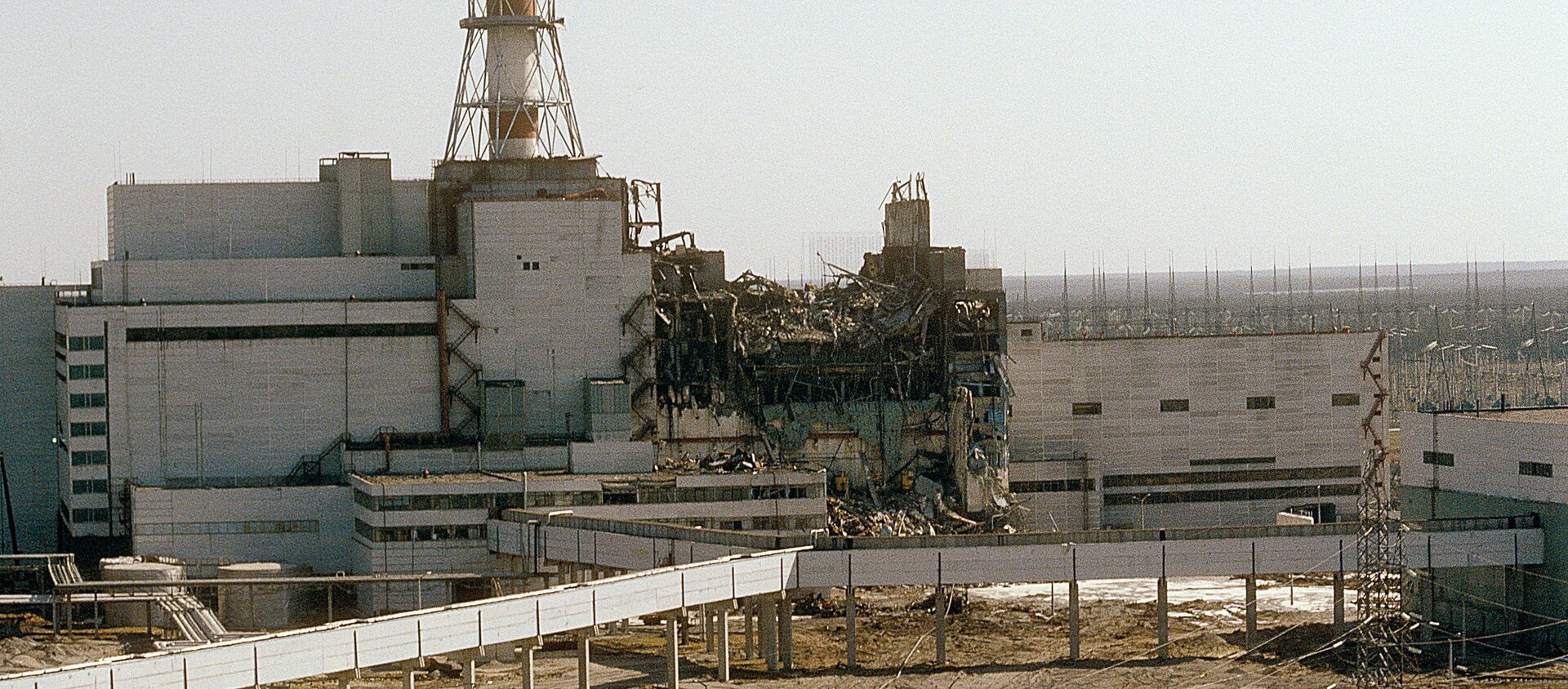 A 34 años de la tragedia de Chernóbil, la zona de exclusión sigue contaminada - Sputnik Mundo, 1920, 26.04.2020