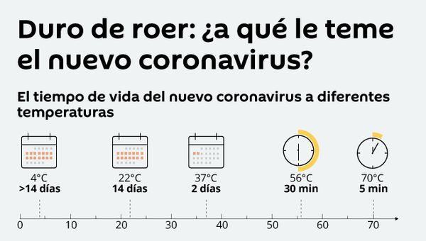 Duro de roer: ¿a qué le teme el nuevo coronavirus? - Sputnik Mundo