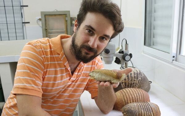 Paleontólogo español Daniel Barasoain sosteniendo pichiciego - Sputnik Mundo