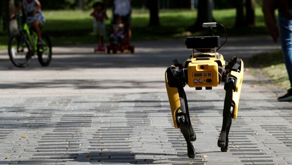 Perro robot en Singapur - Sputnik Mundo