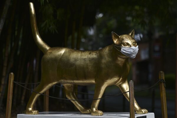 La escultura la 'gata CaliDA' de José Horacio Martínez, en Cali, Colombia. 
 - Sputnik Mundo