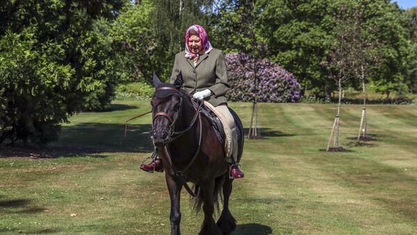 La reina Isabel II monta un caballo en Windsor - Sputnik Mundo