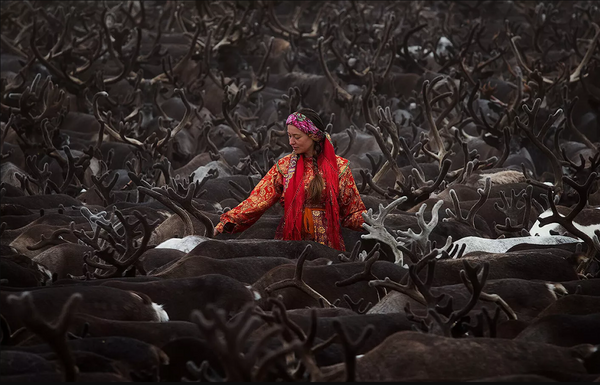 La foto fue tomada en la parte más septentrional de los montes Urales, en la frontera entre Europa y Asia. La mujer lleva el traje nacional de los komi mientras cuida una manada de ciervos. - Sputnik Mundo