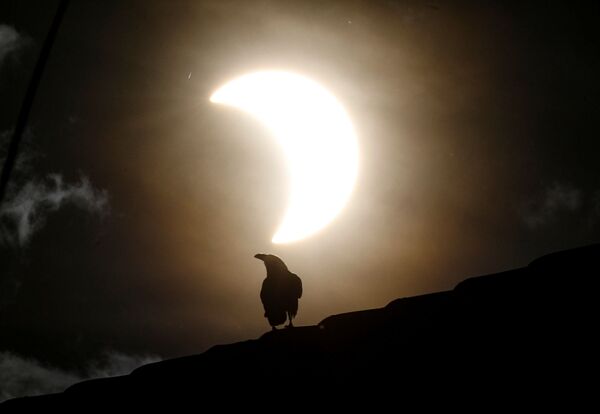 El raro eclipse solar anular, visto desde diferentes partes del mundo 

 - Sputnik Mundo