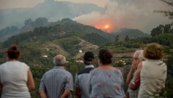 Incendio forestal en la isla española de Gran Canaria en agosto de 2019 - Sputnik Mundo