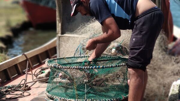 Jaula circular lista para salir a pescar en Barra de Valizas con los pescadores artesanales, Rocha, Uruguay - Sputnik Mundo