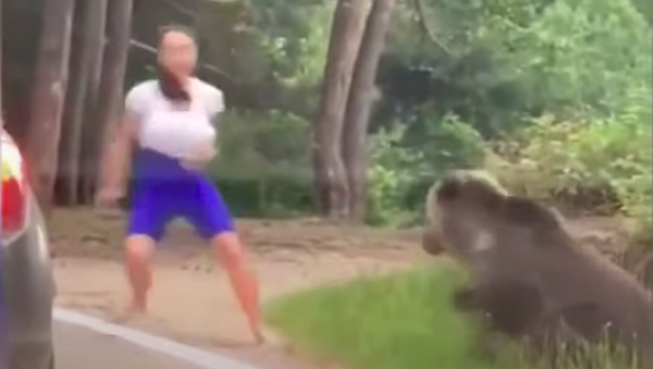Un oso ataca una mujer que intentaba hacerse una foto a su lado - Sputnik Mundo