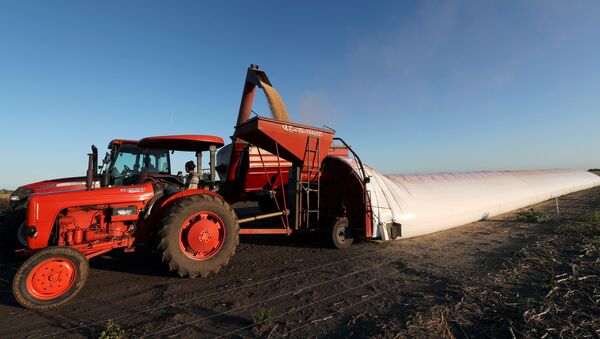 Un tractor en un campo a las afueras de Buenos Aires, Argentina - Sputnik Mundo