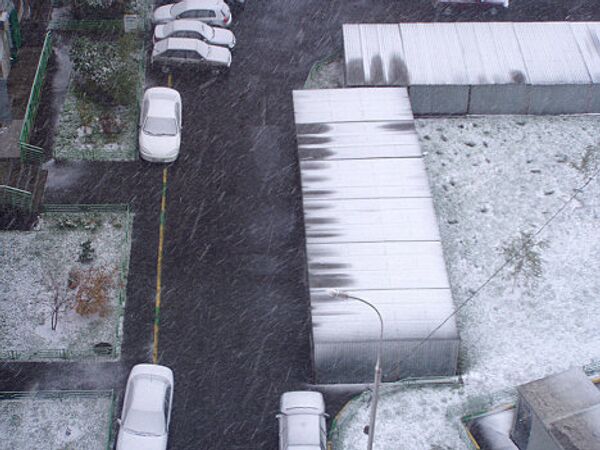 Moscovitas sacan fotos de la primera nieve en 2010 - Sputnik Mundo