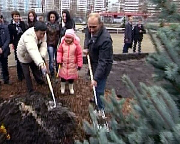 Putin planta el Árbol de Año Nuevo en centro para niños enfermos de cáncer - Sputnik Mundo