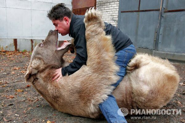 El oso Stiopa, estrella del cine ruso - Sputnik Mundo