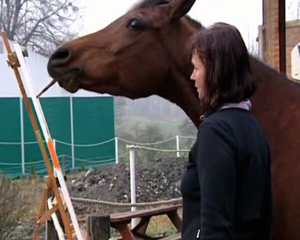 El caballo “Marchiba” es un pintor del arte abstracto - Sputnik Mundo