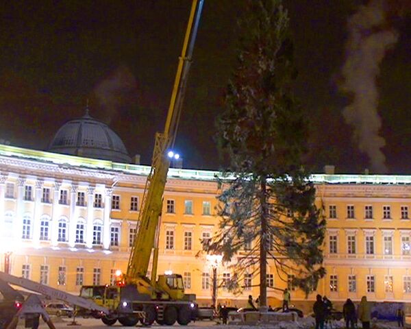 Imponente Árbol de Año Nuevo decora la plaza central de San Petersburgo - Sputnik Mundo