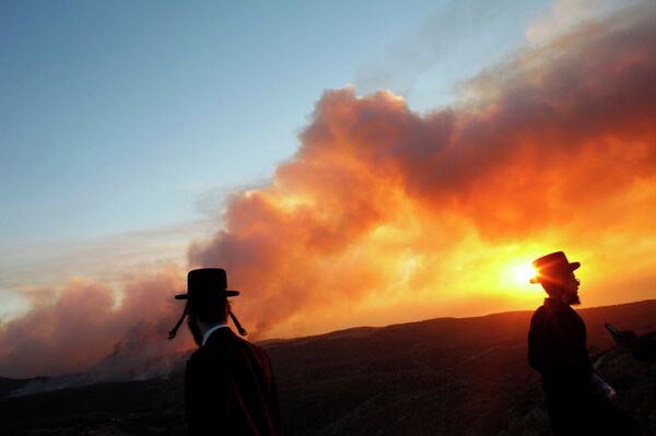 Incendios forestales en Israel - Sputnik Mundo
