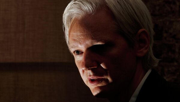 Julian Assange - Sputnik Mundo