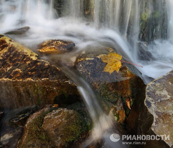 Las mejores imágenes RIA Novosti 2010: Naturaleza - Sputnik Mundo