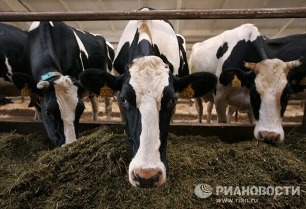 Las mejores imágenes RIA Novosti 2010: Animales - Sputnik Mundo