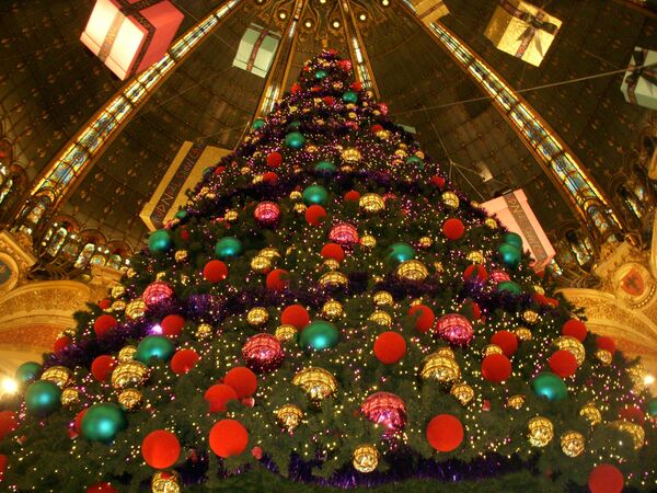 Científico dice que el árbol de Navidad europeo proviene de Abjasia - Sputnik Mundo