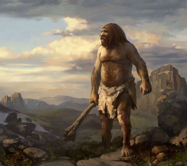 Neandertales cocinaban y comían frutas secas - Sputnik Mundo