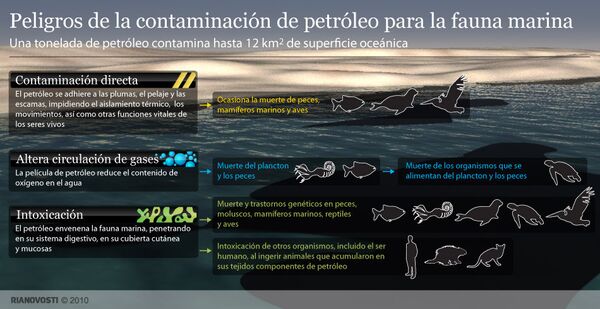 Peligros de la contaminación de petróleo para la fauna marina - Sputnik Mundo