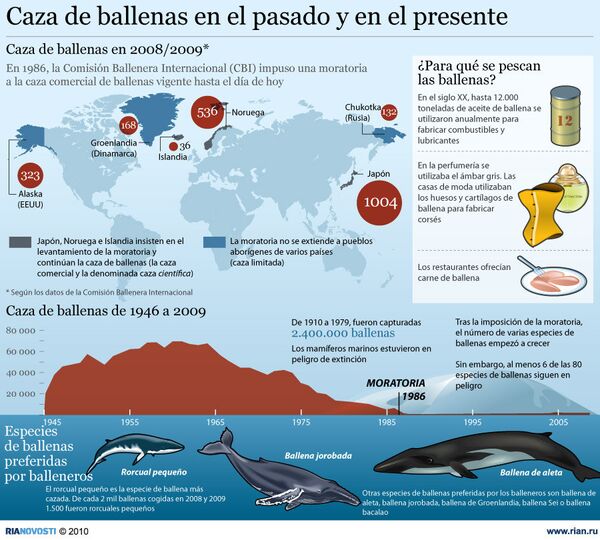Caza de ballenas en el pasado y en el presente - Sputnik Mundo