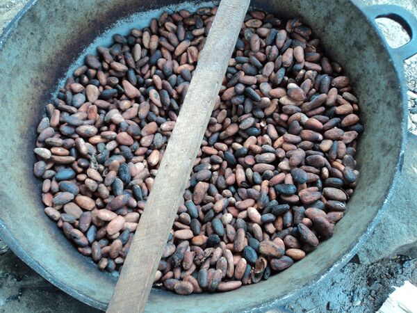 Costa de Marfil impone embargo a las exportaciones de cacao - Sputnik Mundo