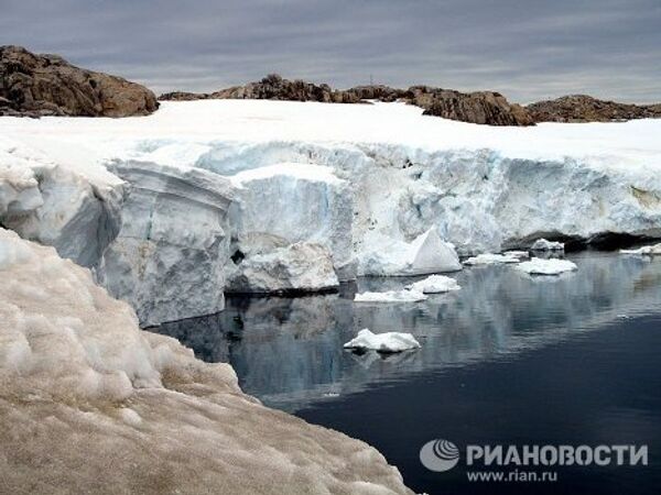 Antártida, la tierra helada de los pingüinos - Sputnik Mundo