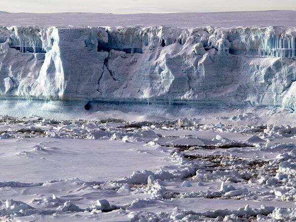 Antártida, la tierra helada de los pingüinos - Sputnik Mundo