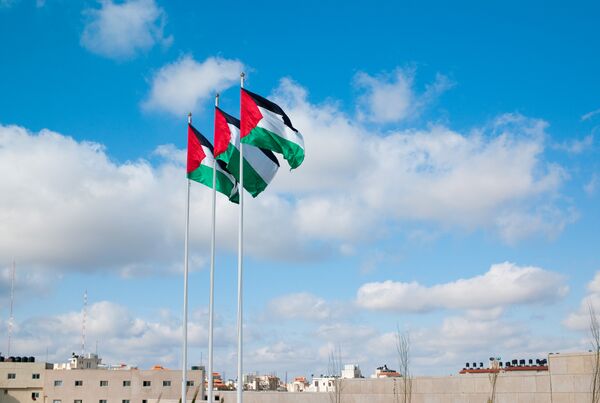 Senado de Bélgica aprueba resolución para reconocer el estado palestino - Sputnik Mundo