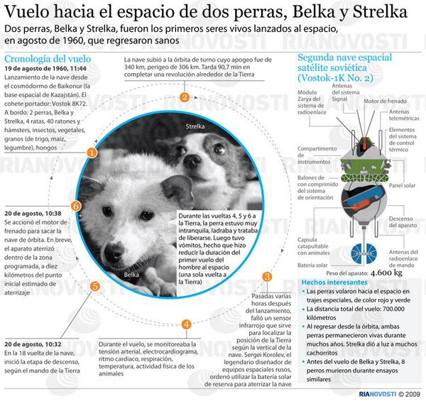 Vuelo hacia el espacio de dos perras, Belka y Strelka - Sputnik Mundo