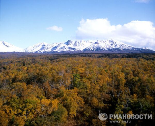 El fascinante Valle de Géiseres en Kamchatka - Sputnik Mundo