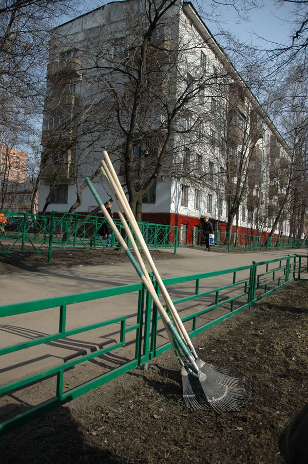 RIA Novosti organiza trabajo voluntario de limpieza de un parque de Moscú - Sputnik Mundo