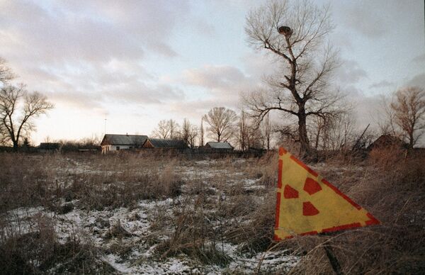 Construcción de nuevo sarcófago protector en Chernóbil se prolongará hasta octubre de 2015 - Sputnik Mundo