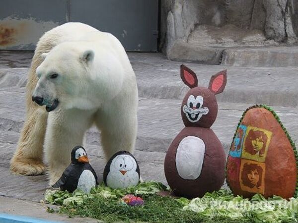 Animales reciben regalos de Pascua en el zoo de Buenos Aires - Sputnik Mundo