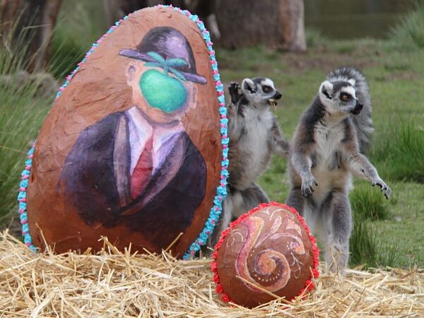 Animales reciben regalos de Pascua en el zoo de Buenos Aires - Sputnik Mundo