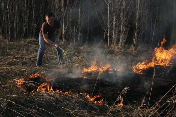 Rusia declara el estado de emergencia en región de Siberia por incendios forestales - Sputnik Mundo