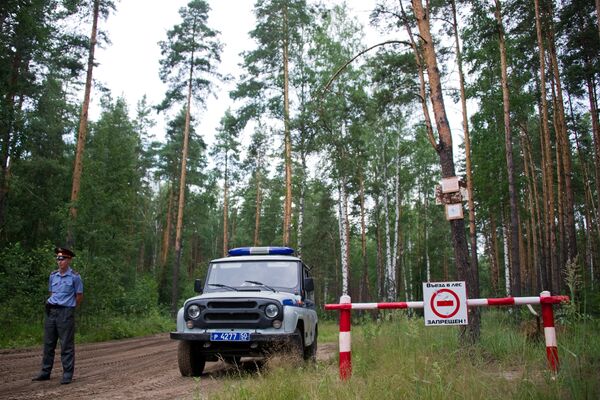 Niña rusa de tres años desaparecida la víspera queda ilesa tras pasar más de 24 horas en el bosque - Sputnik Mundo