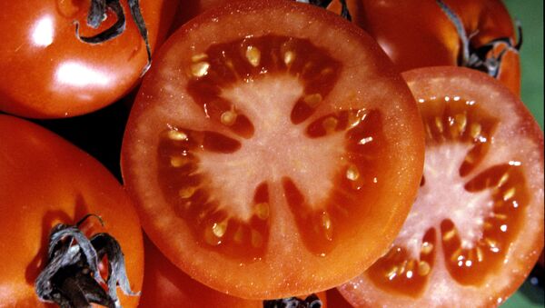 Ruso recibe automóvil por cultivar un tomate excepcional en Siberia - Sputnik Mundo