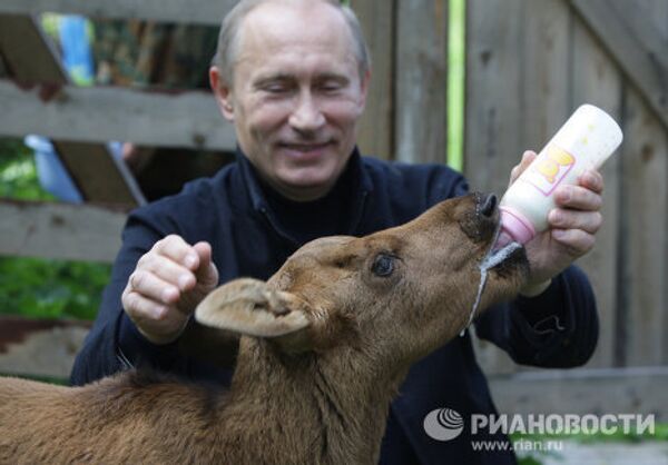 Las numerosas aficiones de Putin, motero, judoka, pescador y deportista - Sputnik Mundo