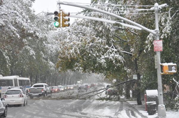 Nueva York, cubierto de nieve a finales de octubre - Sputnik Mundo