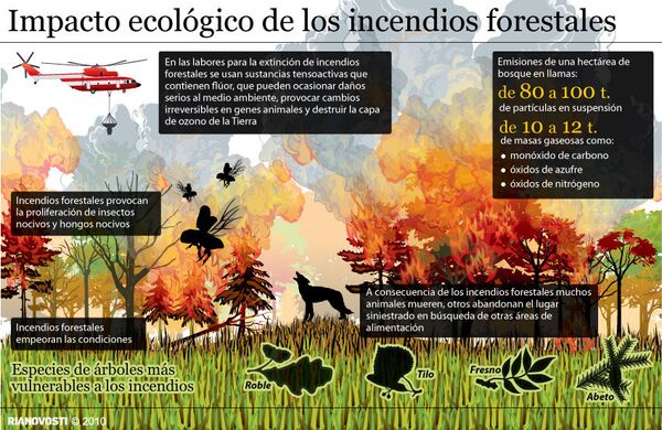 Impacto ecológico de los incendios forestales. Infografía - Sputnik Mundo