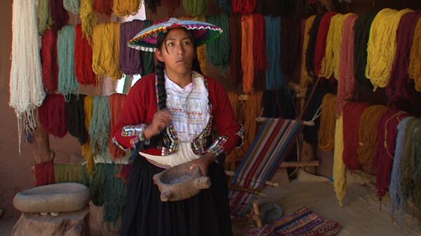 En Perú tiñen lana de llamas con limón y parásitos de cactus - Sputnik Mundo