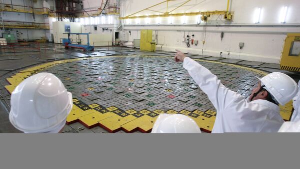 Sala del reactor de una de las centrales nucleares (Archivo) - Sputnik Mundo