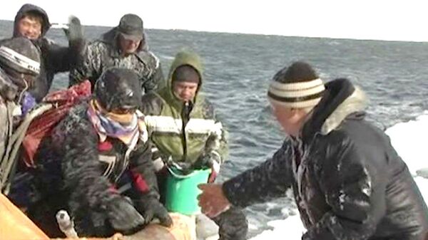 675 pescadores fueron rescatados de témpano de hielo en el sur de Sajalín - Sputnik Mundo